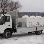 Доставка рыбы фото