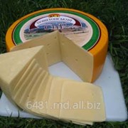 Сыр твёрдый Пошехонский фото