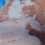 Тримминг свинной фото