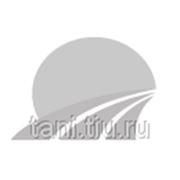 Домкрат гидравлический (30 т) фото