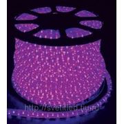 Светодиодный дюралайт 3-х жильный Фиолетовый фото