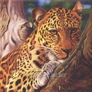 Салфетка для декупажа Леопард фото