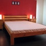 Кровать двухспальная 160х200 Экзотика фото