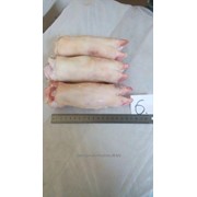 Ноги свиные фото