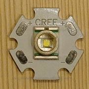 Мощный светодиод CREE XLamp XR-E Q5 белый 3Вт. фотография