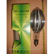 Лампа ДНаЗ 600(тепличная) фото