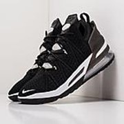 Кроссовки Nike Lebron XVIII фото
