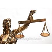 Представление интересов клиента при проведении переговоров с контрагентом. фото