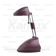 Настольная лампа Kanlux NELI SX388 35W-PU / T фото