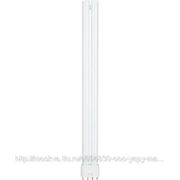 Лампа энергосберегающая Paulmann 36W (2G11), натуральный белый, 88130 фото