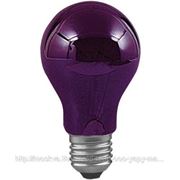 Лампа накаливания Paulmann 75W (E27), ультрафиолет/ черный свет, 59070 фото