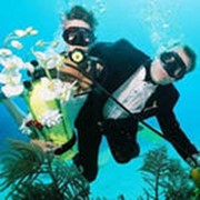 Подводные видео -, фотосъемки свадьбы фото