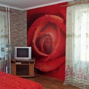 Однокомнатная квартира в Бердянске http://reahousing.com фото