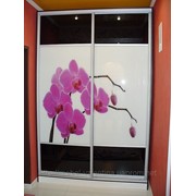 Шкаф-купе с рисунком орхидеи