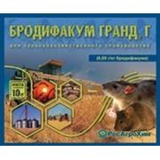 Бродифакум Гранд, Г фото