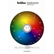 Brulex плакат цветовой круг