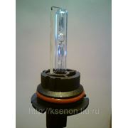 Ксеноновая лампа НВ1 (9004) 5000к фото