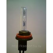 Ксеноновая лампа Н11 5000к фото