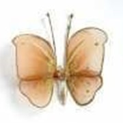 бабочка на озоне. галстук бабочка цвет бордовый. смешной галстук бабочка. бабочки для декора. декоративные наклейки на стены бабочки.