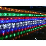 Лента светодиодная 1210 WHITE (1метр) (3528) 60 LED фото