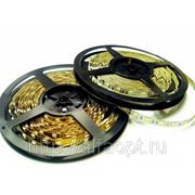 Светодиодная лента Geniled GL-60SMD5050RGBS фото