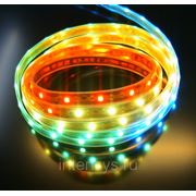 Лента светодиодная (LED) цветная (RGB), 220 В, 14,4 Вт/м фото
