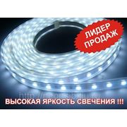 LED лента “Повышенной яркости“, открытая (SMD 5050 , 60 диодов/метр ) фотография