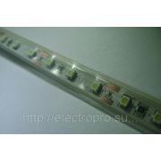 Лента светодиодная MS-TWF-WW (теплый белый) LED300 12V 24W IP67 фото