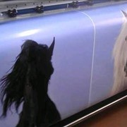 Самоклеющаяся пленка для широкоформатной струйной печати ORAJET 3640 фото