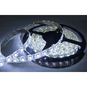 Открытая светодиодная лента SMD 5050, 300 LED, IP20