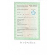 Сертифікат про проходження профілактичного наркологічного огляду (ф.N140/о)