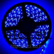 Лента светодиодная SMD5050 30 диодов/метр синяя 12В герметичная фотография