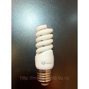 Лампа энергосберегающая фотография