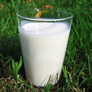 Молоко коровье домашнее свежее фото