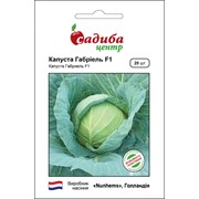 Семена капусты ГАБРИЕЛЬ F1 (Голландия) в Алматы фото