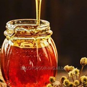 Натуральный цветочный Мёд , Продукты диетические фотография