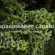 Органические продукты питания фото