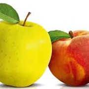 Подварка яблочная с ароматом персика (Т) фото