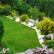 Обрезка деревьев,уборка сада. Полный спектр услуг по озеленению фото