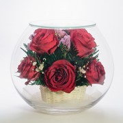 Роза Bm-R3 фото