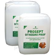 PROSEPT - ОГНЕБИО PROF 2 объем 5 литр.