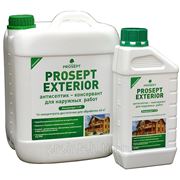 PROSEPT – EXTERIOR объем 1 литр.