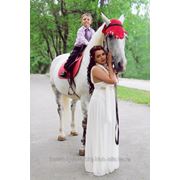 Заказ лошадей на свадьбу фото