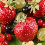 Свежие ягоды в ассортименте фото