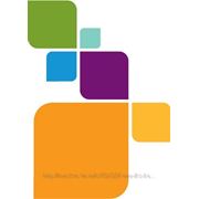 ГИС MapInfo Professional 11.5 для Windows (рус.), объёмная лицензия (1 CD) Право на использование 10-49 рабочих мест(за одно рабочее место) (арт. фото