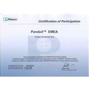 Обучение монтажников СКС по программе Panduit Certified Installer фото