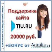 Аутсорсинговая поддержка сайта Tiu.ru, , персональный аккаунт менеджер