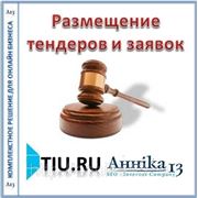 Размещение тендеров и заявок для сайта на tiu.ru