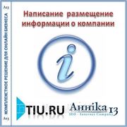 Написание и размещение информации о компании для сайта на tiu.ru фото
