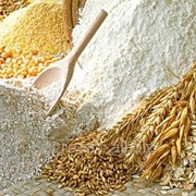 Борошно пшеничне в/г фото